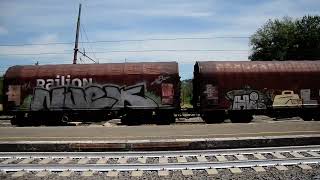 Treno Merci Db Con 483 105 E Carri Shimmns Trasporto Coils Verso Terni