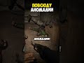 🔮 Аномалия Даже Нижний Брейк Вызывает! Канал: perpetuumworld #stalkervr #anomaly
