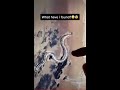 Giant Snake Skeleton! *Google Earth TikTok* #1