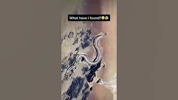 Giant Snake Skeleton! *Google Earth TikTok* #1