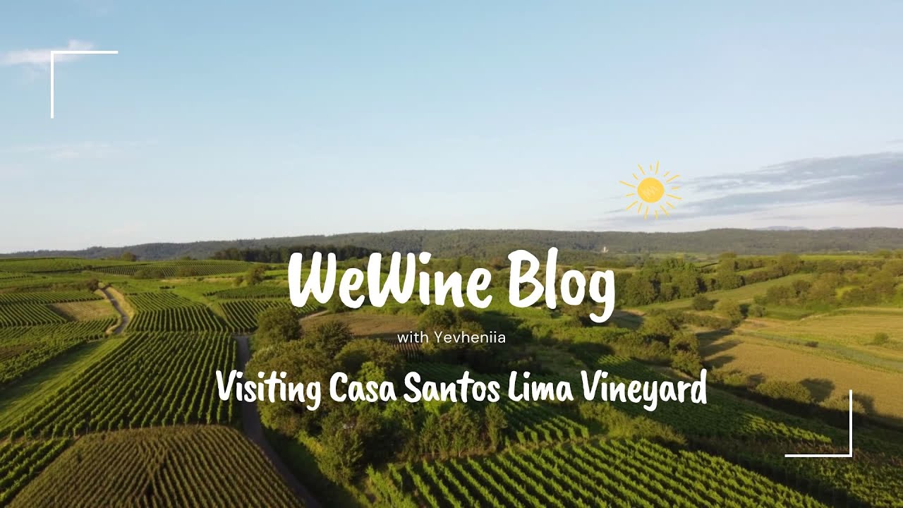 VISITING CASA SANTOS LIMA VINERY IN PORTUGAL