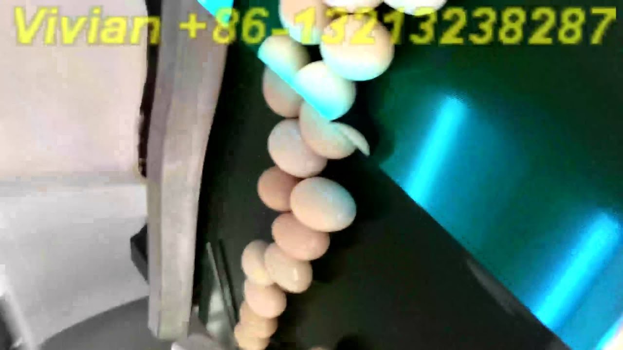 Egg Washing Sorting Line from Vivian