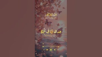 #اكسبلور #duet #دويتو #keşfet #لايك #love #راحة_نفسية #تيك_توك #فولو #حالات_واتس #تلاوات #قران_كريم