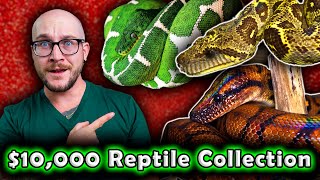 Reptile Nerd Buys INSANE $10,000 Reptile Collection!