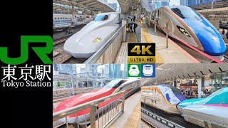 A video of all Shinkansen trains departing from Tokyo Station