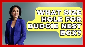 What Size Hole For Budgie Nest Box? - Bird Watching Diaries