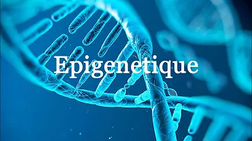 Comment fonctionne l Epigenetique ?