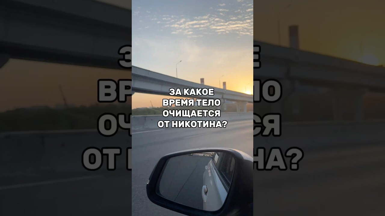 Как быстро организм избавляется от никотина? #броситькурить #легкийспособ #алленкарр