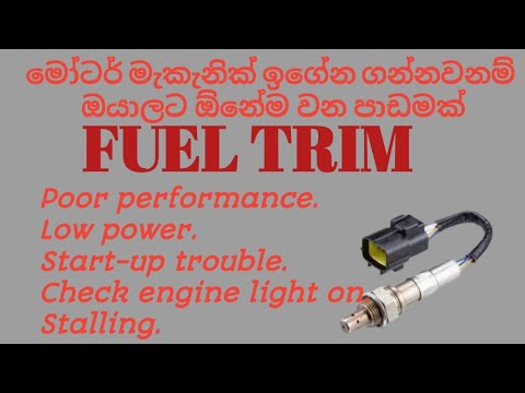 fuel trim explained-sinhala