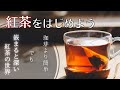 紅茶初心者が使う道具紹介〜ポットなし・必要なのは4つだけ！〜[Tea vlog]ねね茶#1