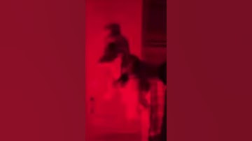 Donaldducc is a demon forever (FIXED)