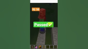 Zombie IQ Test #minecraft