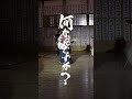 横切る人達1 #何なんですか