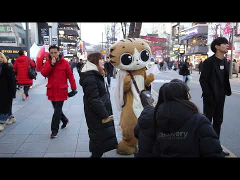 JHKTV] 신촌 명물고양이달리달리 shin chon  special cat k pop <strong>dance</strong> <strong>dali</strong> <strong>dali</strong>