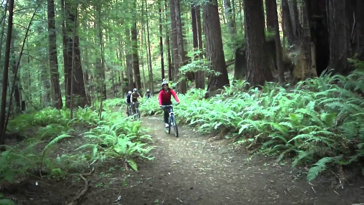 mendocino bike sprite