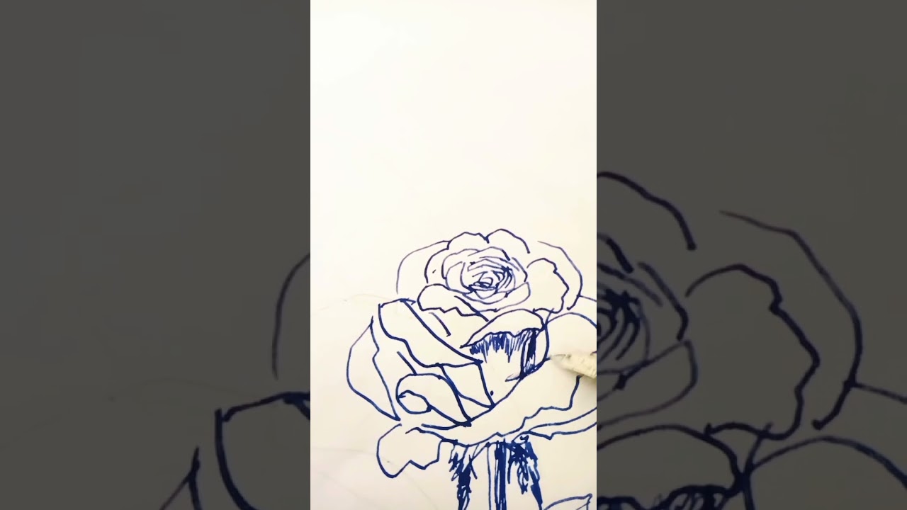 Simple rose drawing with fountain pen