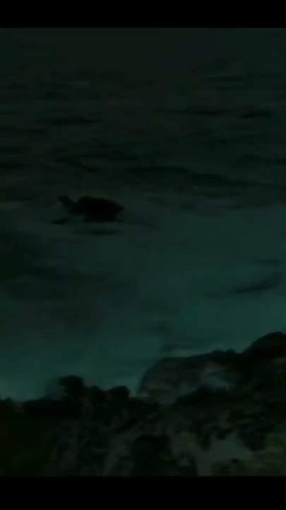 pirates-of-the-caribbean-2-movie-shorts-7-youtube
