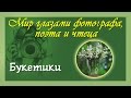 Красивые стихи и фото Букетики лесные