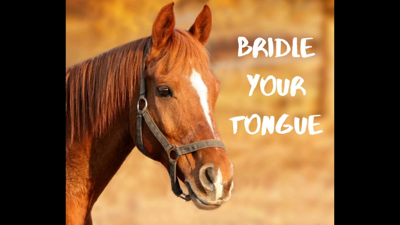 2 Bridle your tongue. Dr. David Gibbs YouTube