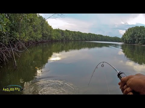 Video: Hampir Terlupakan