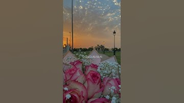 القرآن الكريم||سورة الفاتحة||القارئ سالم بهنان||القرآن🌸🤍||
