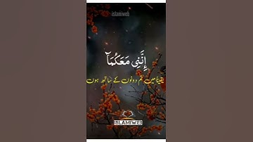 آيات من الذكر الحكيم