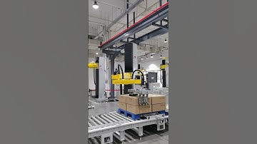 Wanerx Palletizer
