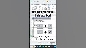 Cara Cepat Menyisipkan Baris pada Excel #exceltips #exceltricks