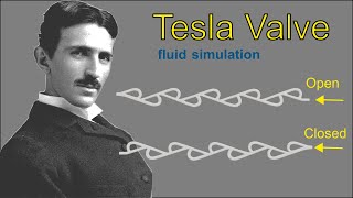 Does Tesla Valve Work in Fluid Simulation?