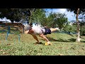 QUICK VIDEO - PLANCHE/ONE ARM HANDSTAND