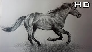 Cómo Dibujar un Caballo Realista a Lápiz Paso a Paso - TUTORIAL - thptnganamst.edu.vn