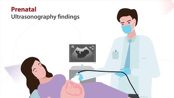 Mindray ToRCH Panel Series - CMV and pregnancy