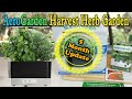 Aerogarden Harvest 6 Pod Home Garden - 5 month update and review