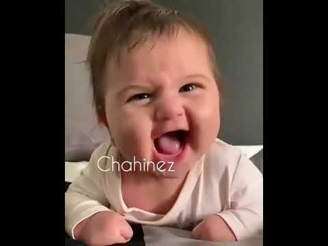    عمرو دياب اغنية تملي معاك