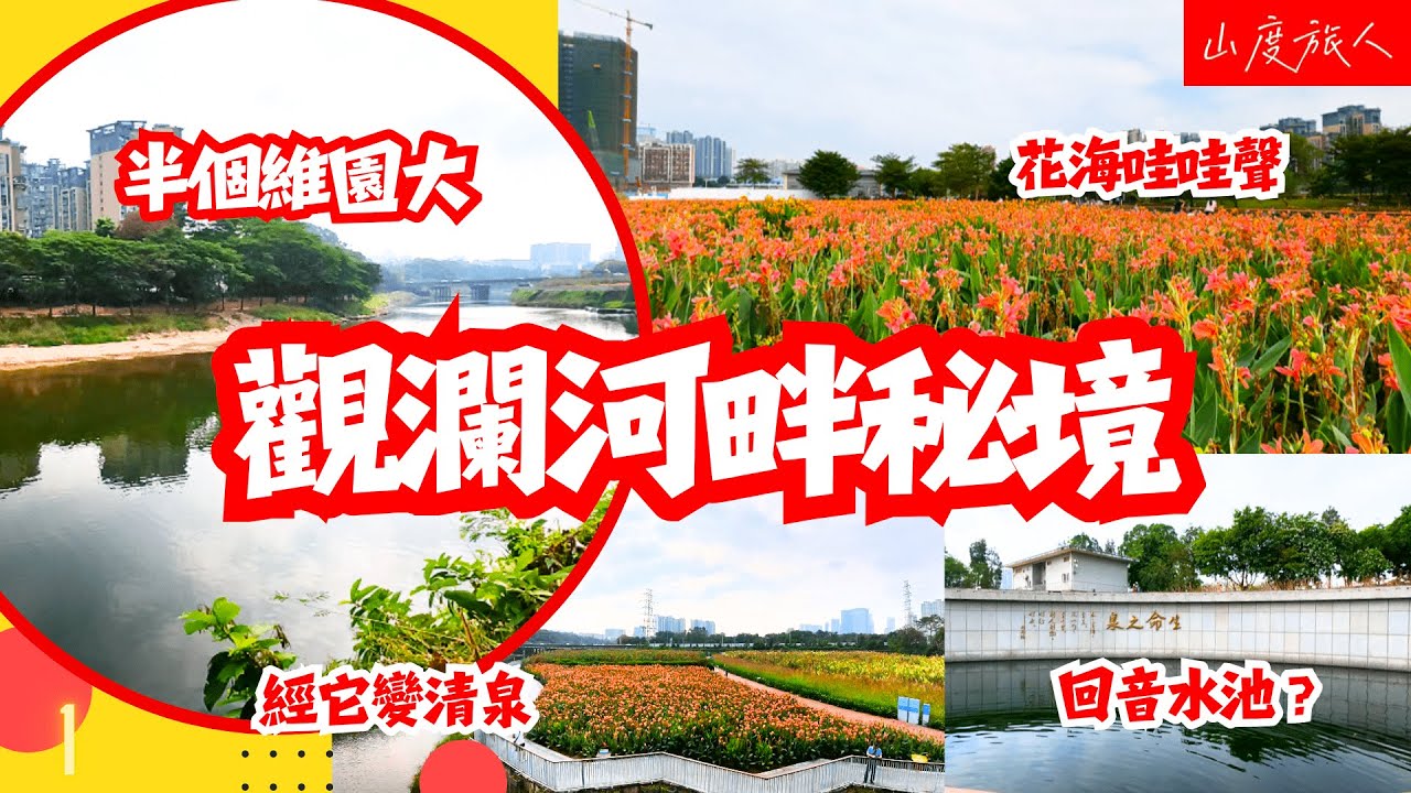 [深圳] 半個維園大 觀瀾河畔秘境🌷花海哇哇聲💮回音水池 山度旅人同您遊走#深圳好去處