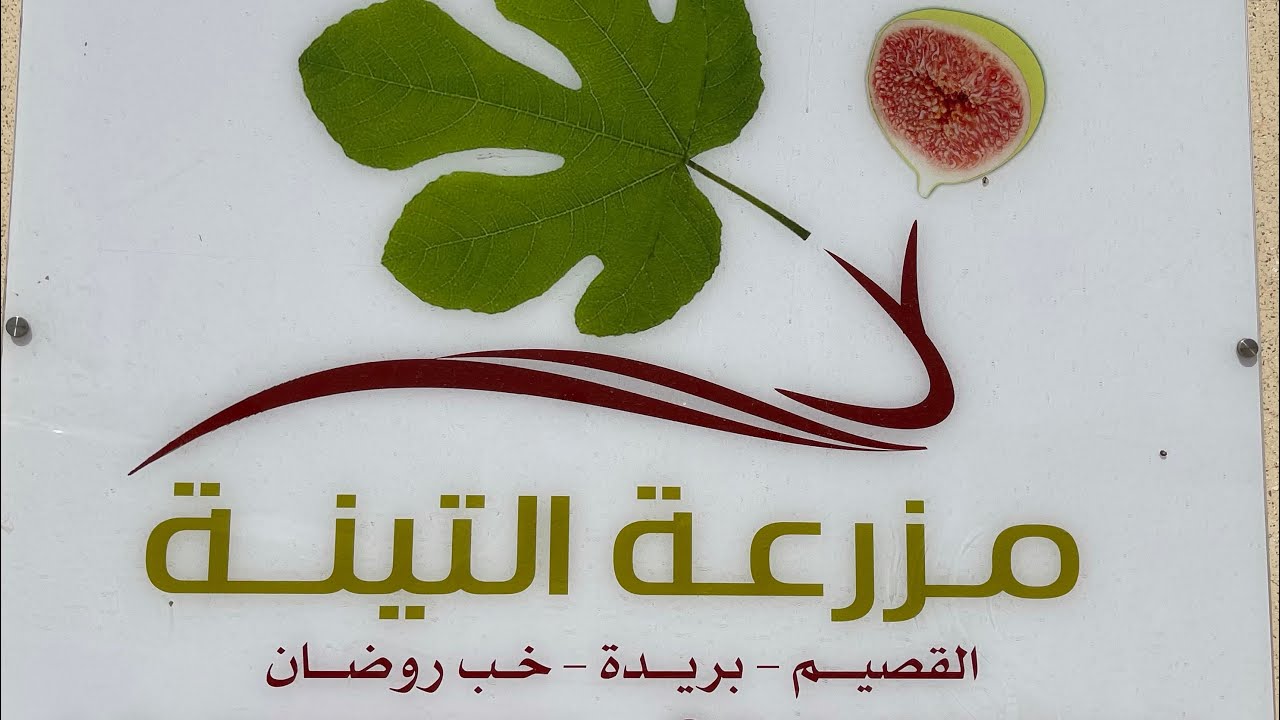 مزرعة التينة ببريدة