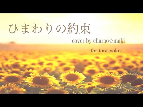 【ねーさんへ✨】ひまわりの約束☆秦基博 cover by チャラマキ( ✧﹃✧) ｶｯ!!