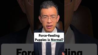This Congressperson says vegans are criminals. But dog torture is totally fine.