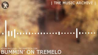 Kevin Macleod ~ Bummin on Tremelo [ The Music Archive ]