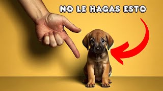 DEJA DE HACER estas 15 COSAS a tu PERRO