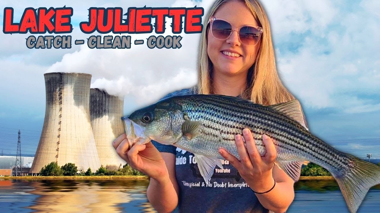 Live Bait Striper Fishing at Lake Juliette Catch, Clean, and Cook