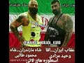 وحید مرادی عقاب ایران محمود طالبی شاه مازندران 