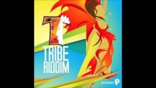 TRIBE RIDDIM MIXX BY DJ-M.o.M