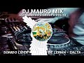 009 - CNCO, PRINCE ROYCE - LLEGASTE TÚ  (REMIX REGGAETON) DJ MAURO MIX - ULTRAMIX VOL.14