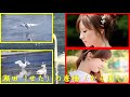 2019 鳰の湖(丘 みどり)