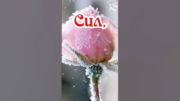 С Днем Ангела Валя, Валюша, Валентина!!! С именинами Валентина