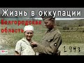 1943. Жизнь в Оккупации глазами немца. Белгородская область