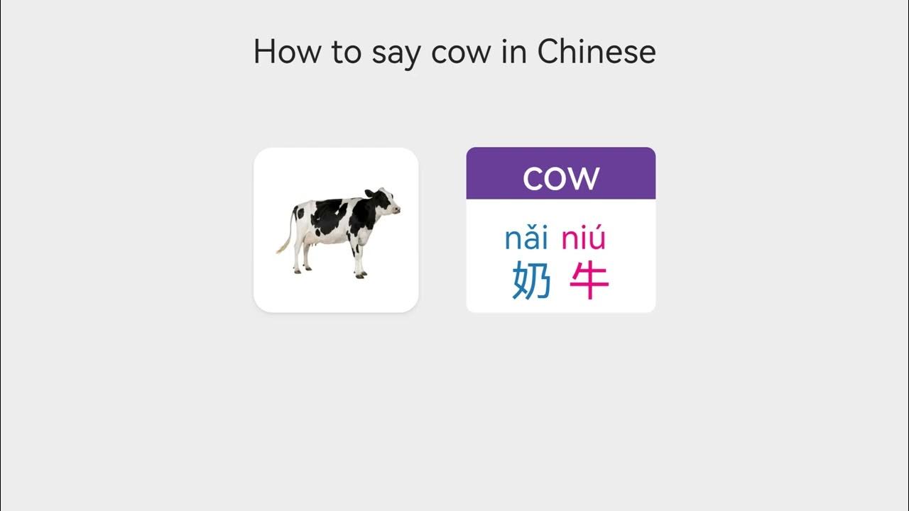 Vocabulary Farm Animal Names How To Say Cow In Mandarin Chinese YouTube vocabulary-farm-animal-names-how-to-say-cow-in-mandarin-chinese-youtube