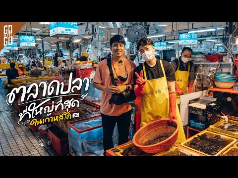 แล่ปลาสดๆ​ ต่อหน้า ที่ตลาดปลาที่ใหญ่​ที่สุด​ใน​ เกาหลี​ใต้​ | VLOG