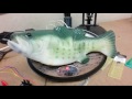 Man Hacks Alexa Into Singing Fish Robot